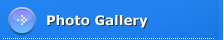 Phote Gallery